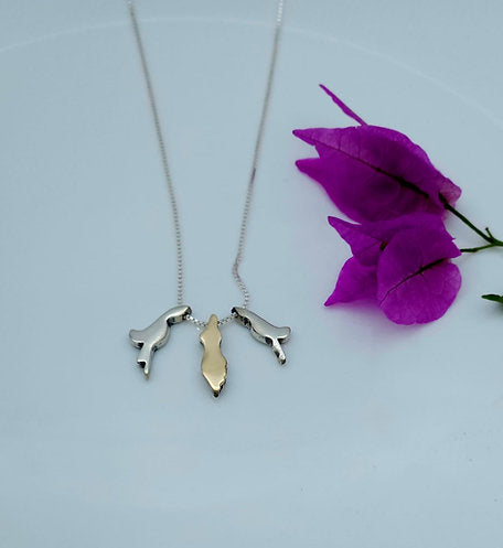 Hamsa and Map of Israel, Silver and Gold