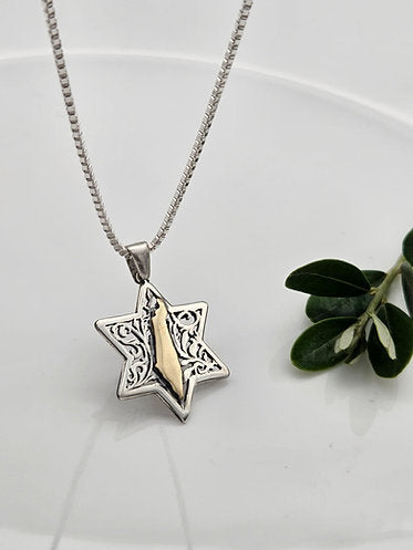 Star of David and Map of Israel, Sterling Silver Combined with 14K Gold