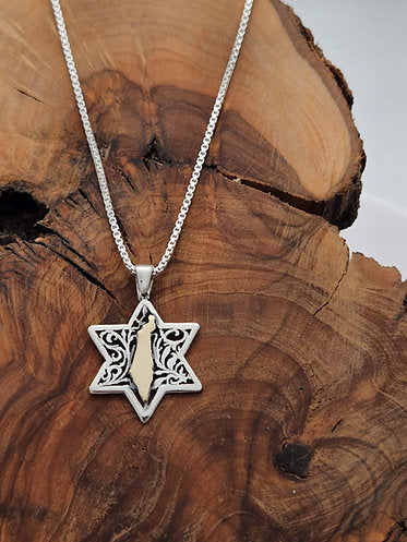 Star of David and Map of Israel, Sterling Silver Combined with 14K Gold
