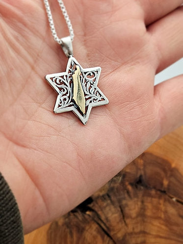 Star of David and Map of Israel, Sterling Silver Combined with 14K Gold